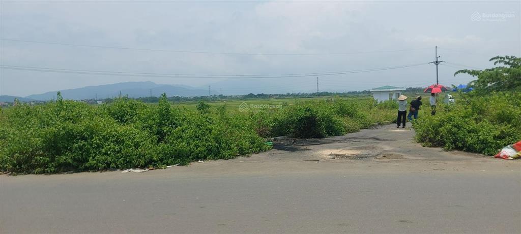 Giảm chào 300 triệu lô đất đấu giá đông sơn phú nghĩa dt 62m2, mặt tiền 5.5m, giá 1.5 tỷ