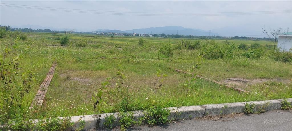 Giảm chào 300 triệu lô đất đấu giá đông sơn phú nghĩa dt 62m2, mặt tiền 5.5m, giá 1.5 tỷ