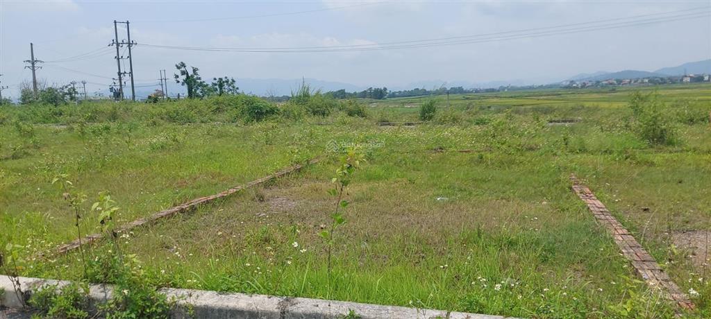 Giảm chào 300 triệu lô đất đấu giá đông sơn phú nghĩa dt 62m2, mặt tiền 5.5m, giá 1.5 tỷ
