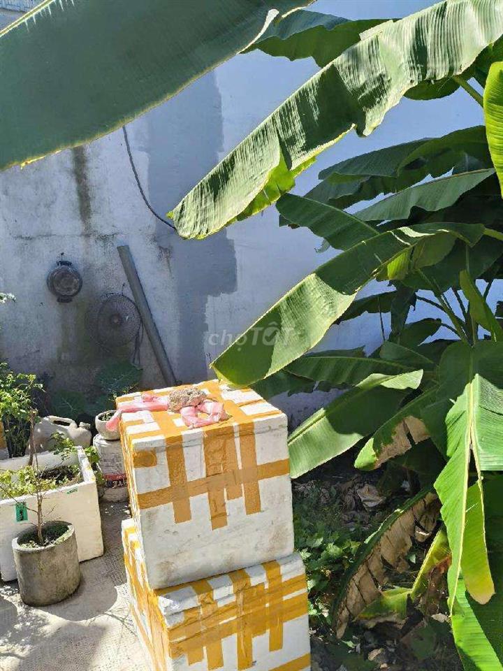 BÁN ĐẤT Q12 - XE TẢI ĐẬU CỬA - DT KHỦNG - GIÁ CỰC RẺ.