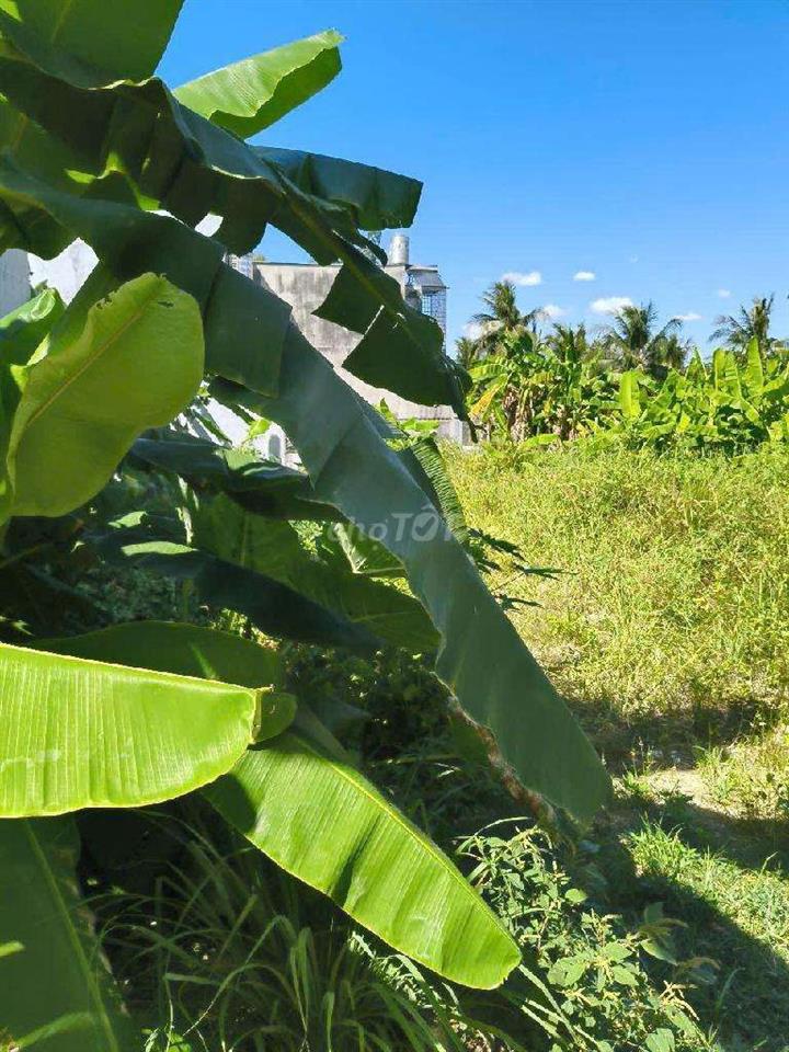 BÁN ĐẤT Q12 - XE TẢI ĐẬU CỬA - DT KHỦNG - GIÁ CỰC RẺ.