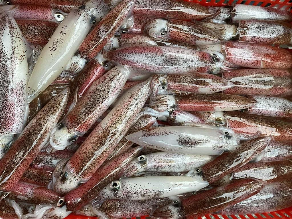 Đường phan bá phiến 12.5 tỷ, dt 90m2, hàng chưa qua đầu tư  sát biển mân thái 70m