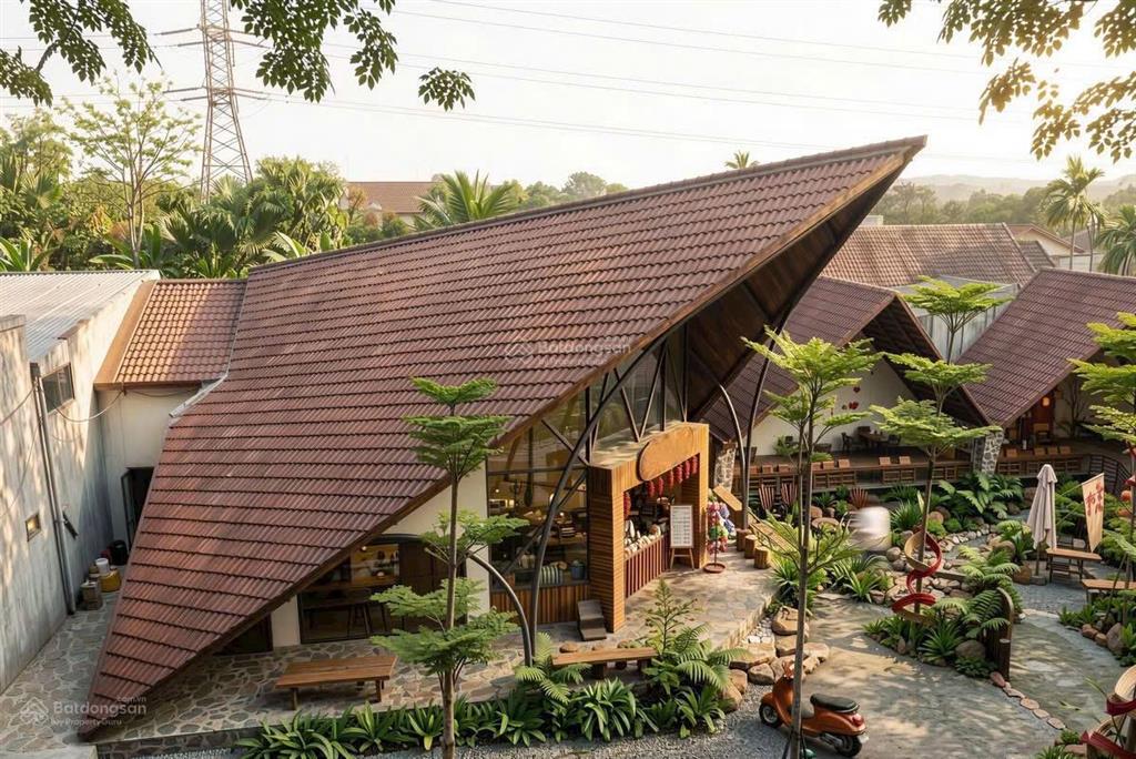 Cho thuê biệt thự sân vườn trong ngõ cực đỉnh đất 300m2 xây dựng 100m2 x 2 tầng mặt tiền siêu to