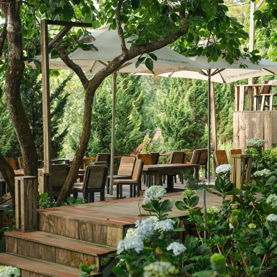 Cho thuê biệt thự sân vườn trong ngõ cực đỉnh đất 300m2 xây dựng 100m2 x 2 tầng mặt tiền siêu to