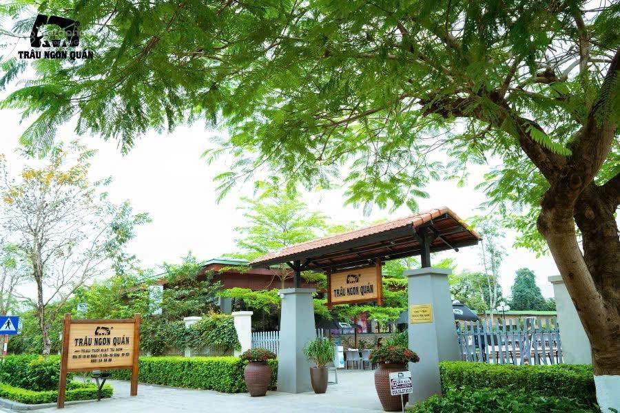 Cho thuê biệt thự sân vườn 240m2 x 3,5 tầng mặt tiền 12m cực đẹp, ô tô xe máy để thoải mái