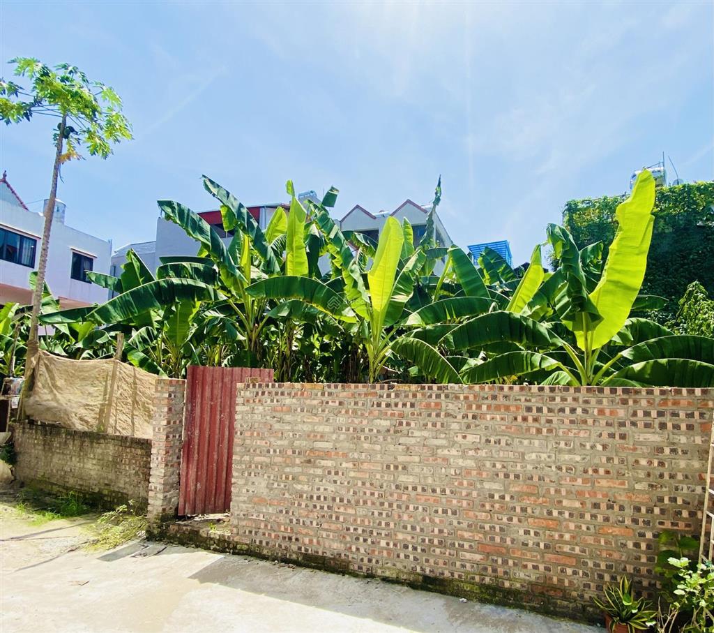 Bán đất giang biên, kẻ tạnh, dt 74m2, mt 4.2m, ôtô đỗ cửa. giá 11,9tỷ