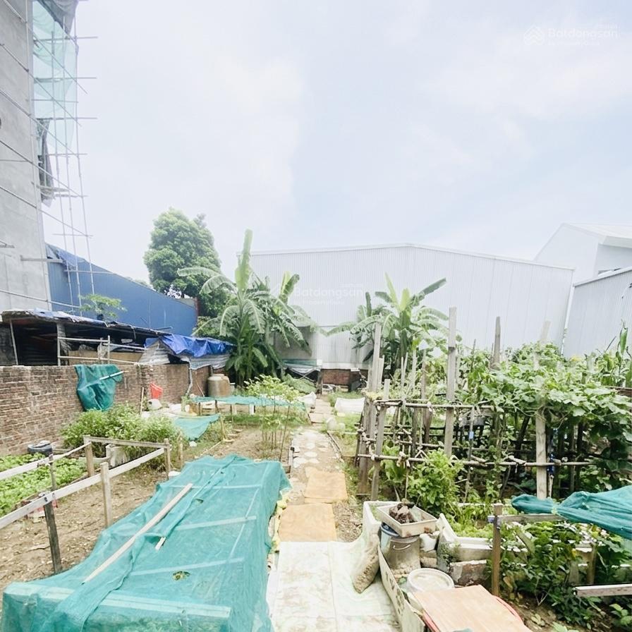 Bán đất đấu giá sài đồng 175m², mặt tiền 8,5m  vỉa hè ô tô tránh  giá đầu tư 32,5 tỷ