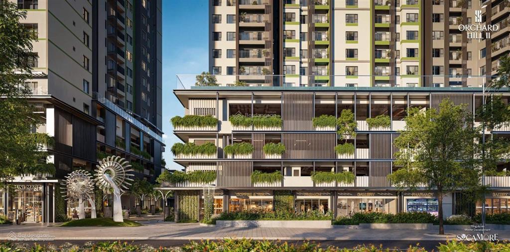 Tổng hợp giỏ hàng chuyển nhượng orchard hill  sycamore giá tốt  t7t8/2026