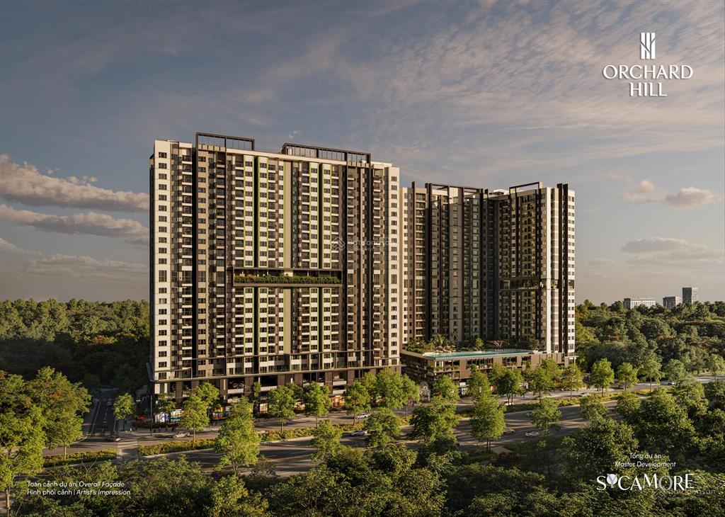 Tổng hợp giỏ hàng chuyển nhượng orchard hill  sycamore giá tốt  t7t8/2026