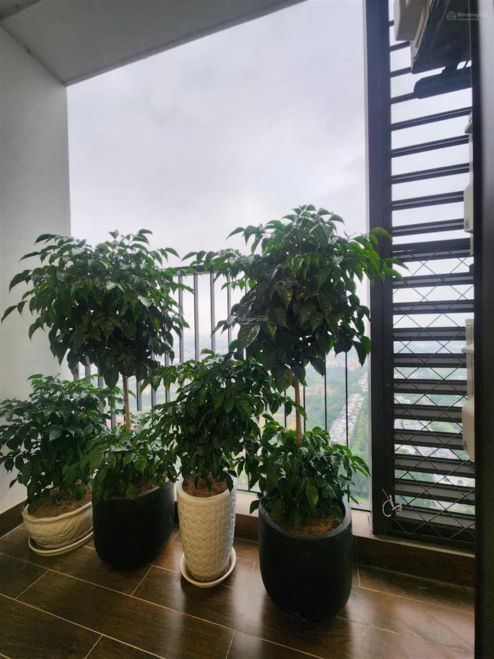 Bán gấp căn 2pn 2vs 68m2 view đảo đông nam, 4.8 tỷ  giá đầu tư