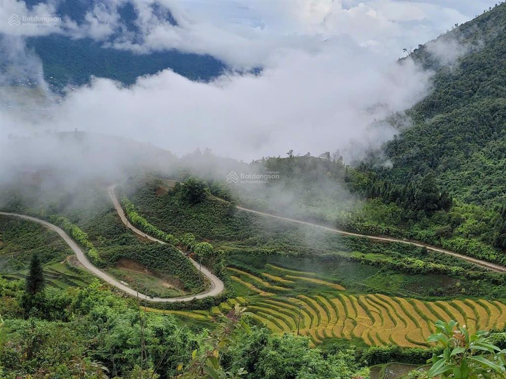 Chính chủ bán 3000m2 đất thị xã sapa, mặt đường chính, rộng, đẹp, phù hợp homesay, nhà hàng