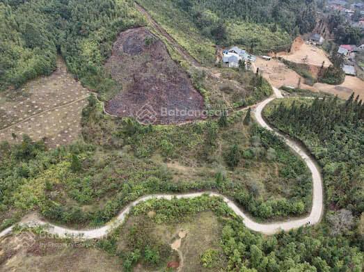 Bán 4,5ha đất du lịch (bắc hà), đường rộng ô tô vào tận đất, view rất đẹp, phù hợp làm nghỉ dưỡng