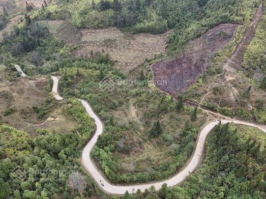 Bán 4,5ha đất du lịch (bắc hà), đường rộng ô tô vào tận đất, view rất đẹp, phù hợp làm nghỉ dưỡng