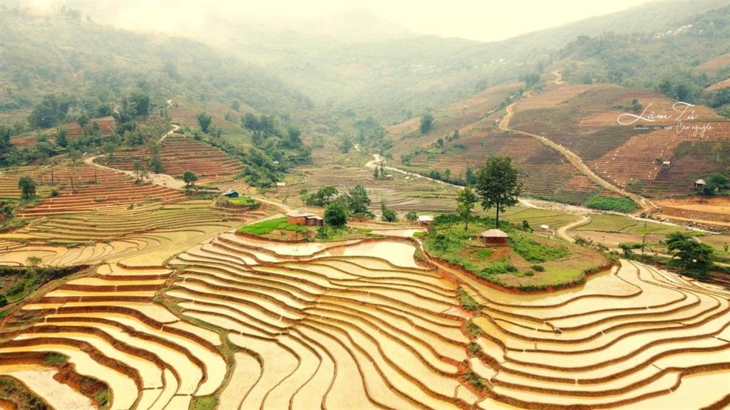 Bán 2ha đất trung tâm xã y tý giá 15 tỷ