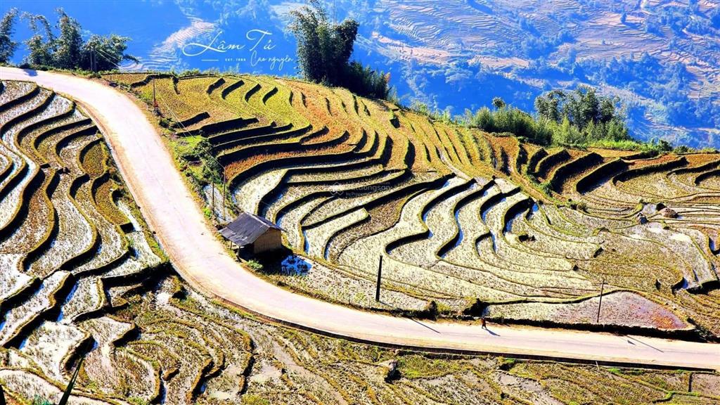Bán 2ha đất trung tâm xã y tý giá 15 tỷ