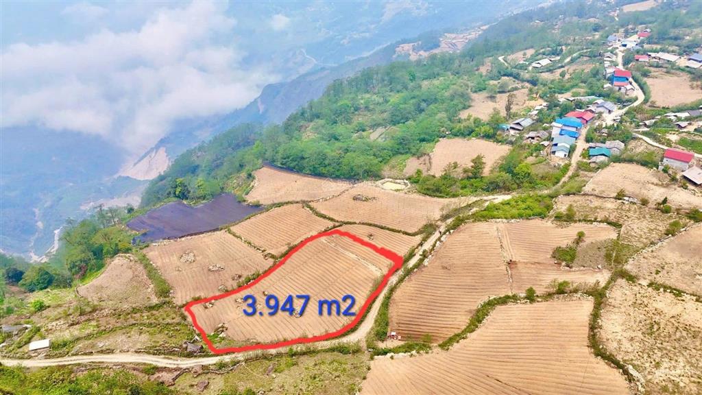 Bán 3946m2 tại xã y tý  lào cai, giá 3,5 tỷ