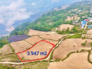 Bán 3946m2 tại xã y tý  lào cai, giá 3,5 tỷ