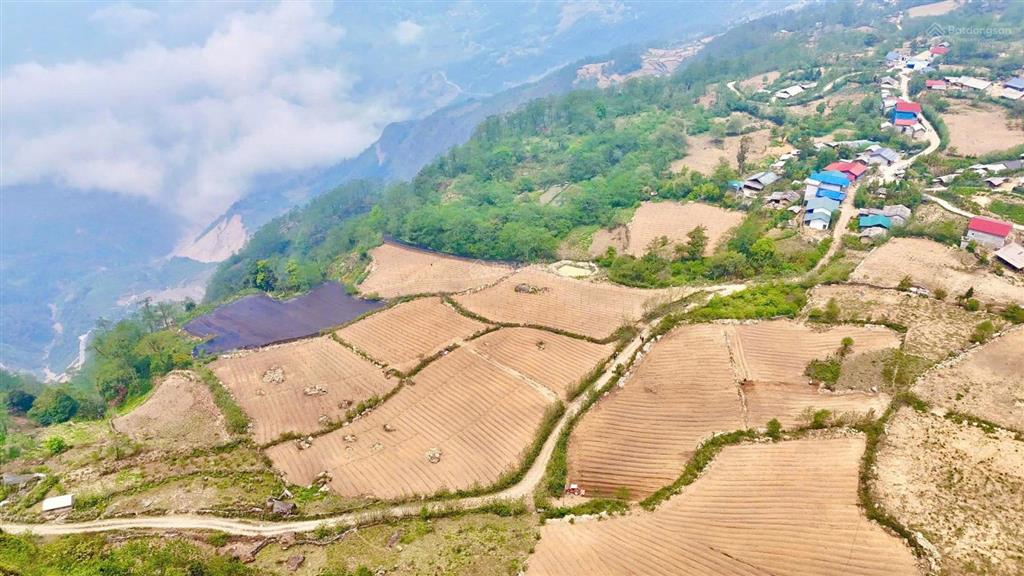 Bán 3946m2 tại xã y tý  lào cai, giá 3,5 tỷ