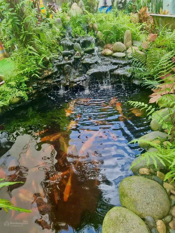 Ngay tô ký, nhỉnh 8 tỷ nhà đẹp 3 tầng khu dân cư tanimex, đường nhựa 10m, ở hoặc vp công ty