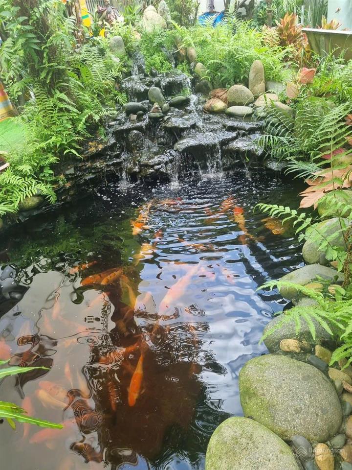 Ngay tô ký, nhỉnh 8 tỷ nhà đẹp 3 tầng khu dân cư tanimex, đường nhựa 10m, ở hoặc vp công ty