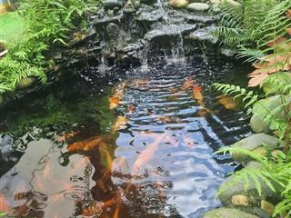 Ngay tô ký, nhỉnh 8 tỷ nhà đẹp 3 tầng khu dân cư tanimex, đường nhựa 10m, ở hoặc vp công ty