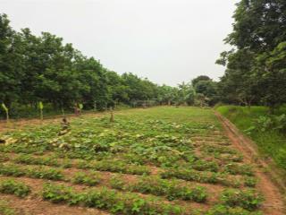 Bán gấp đất nền 624m2 tại hưng đạo, 1,65 tỷ, view đẹp