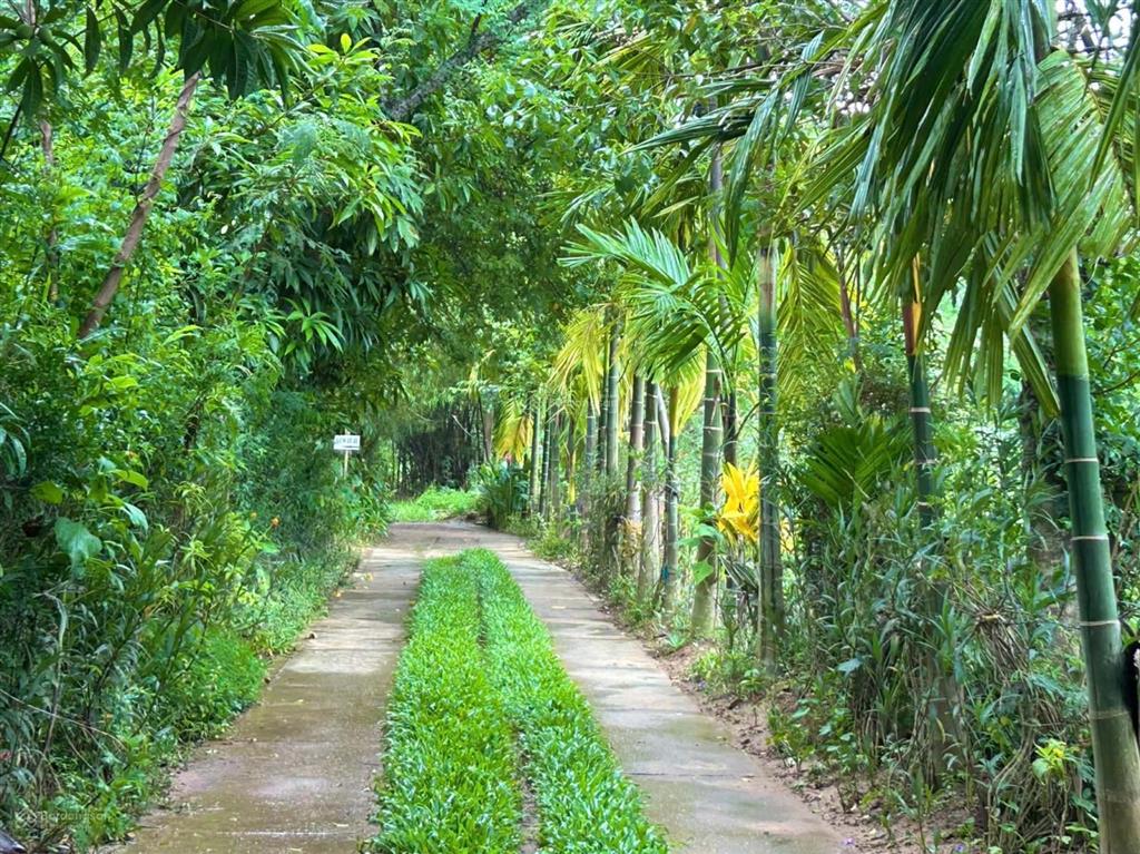 Lô đất dt 2.395m2 ở làng du lịch triêm tây, gần cầu cẩm kim, hội an
