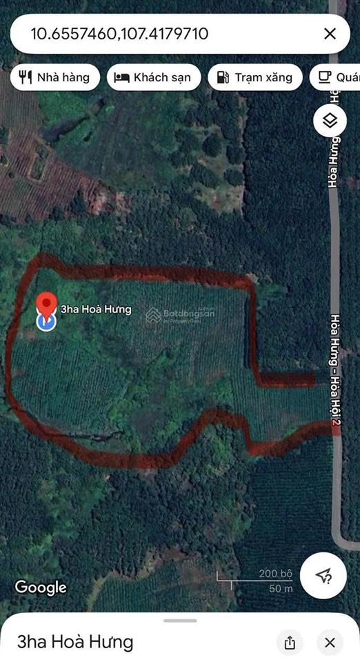 Chủ cần bán gấp đất trồng cây lâu năm. gần 3ha giá 11 tỷ