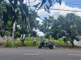 Bán đất mặt tiền nhựa trương văn đa bình chánh