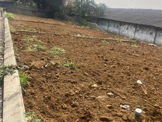 Chính chủ bán lô 100m2 full tc tại hoà trúc, phú cát, hà nội giá chỉ loanh quanh 2.1tỷ