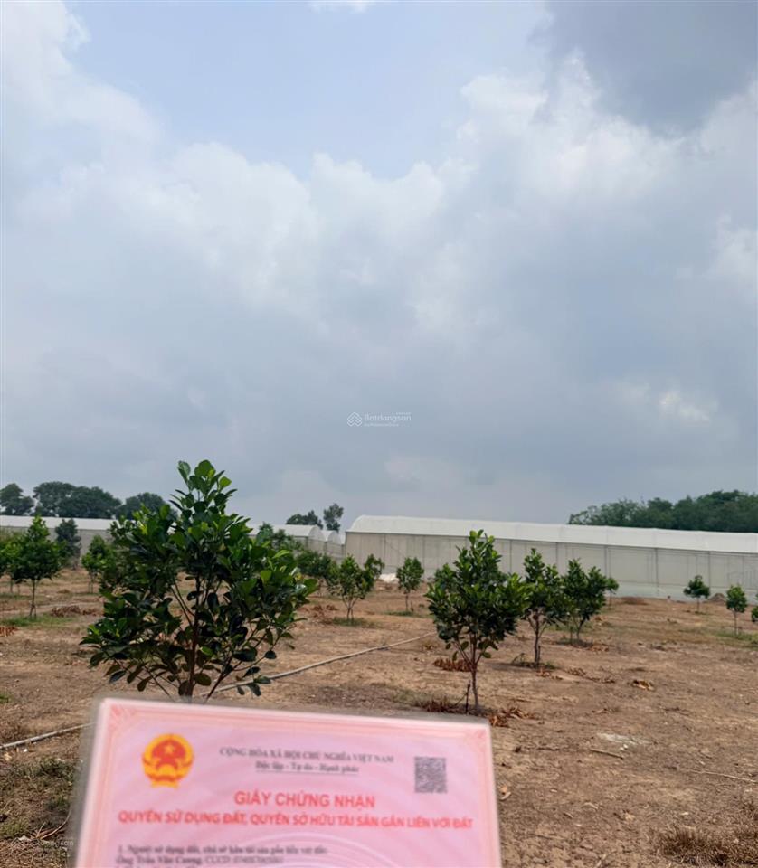 Bán đất thành phố  giá thì nông thôn , shr