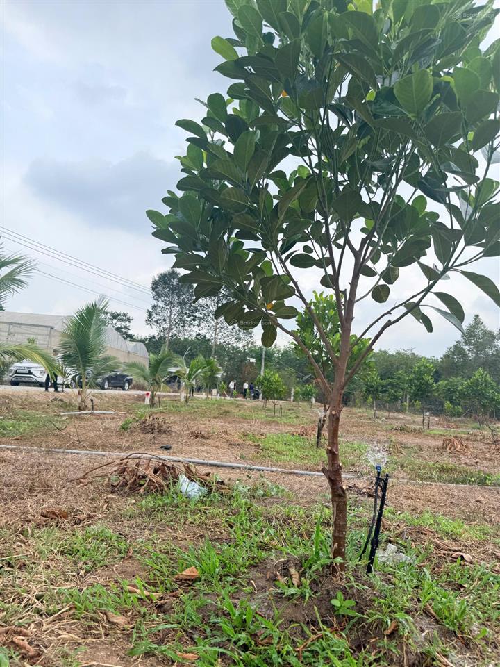 Bán đất thành phố  giá thì nông thôn , shr
