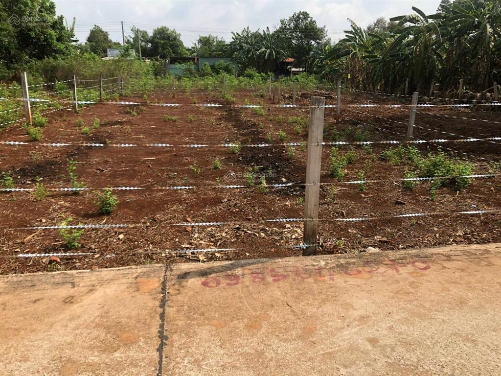 Bán đất tại p. tam long, tp. hcm(bà rịa, bà rịa vũng tàu). giá 2,05 tỷ, 253 m2. còn thương lượng