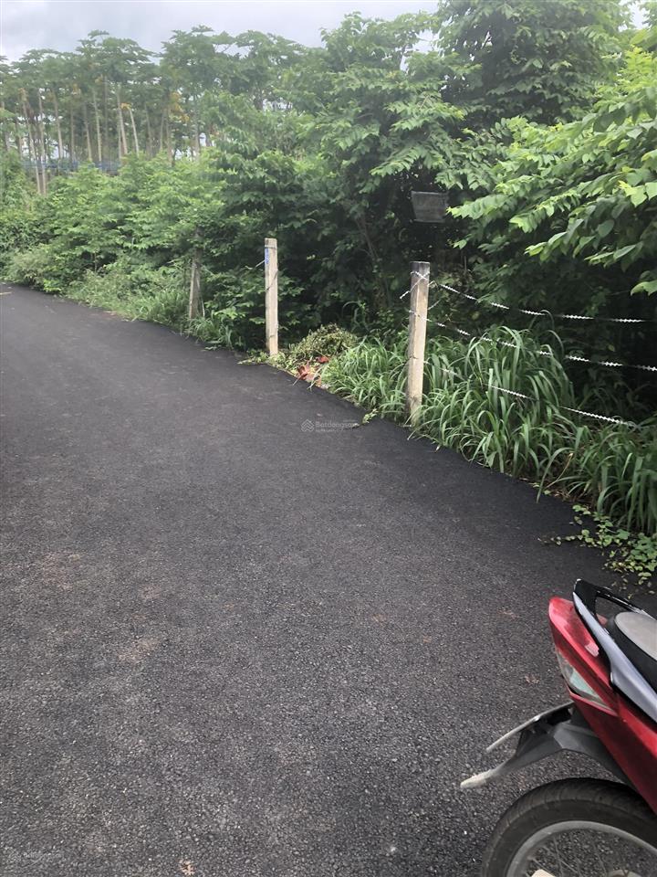 Bán đất tại p. tam long, tp. hcm(bà rịa, bà rịa vũng tàu). giá 2,05 tỷ, 253 m2. còn thương lượng