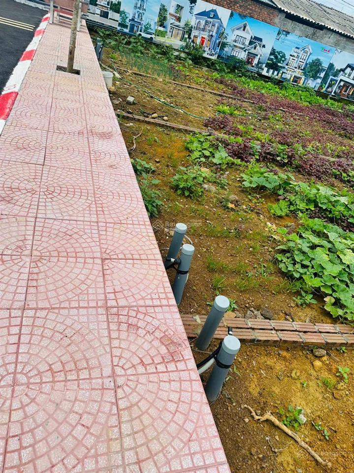 300m2 đất tại chương mỹ xây biệt thự full giá 1,7 tỷ