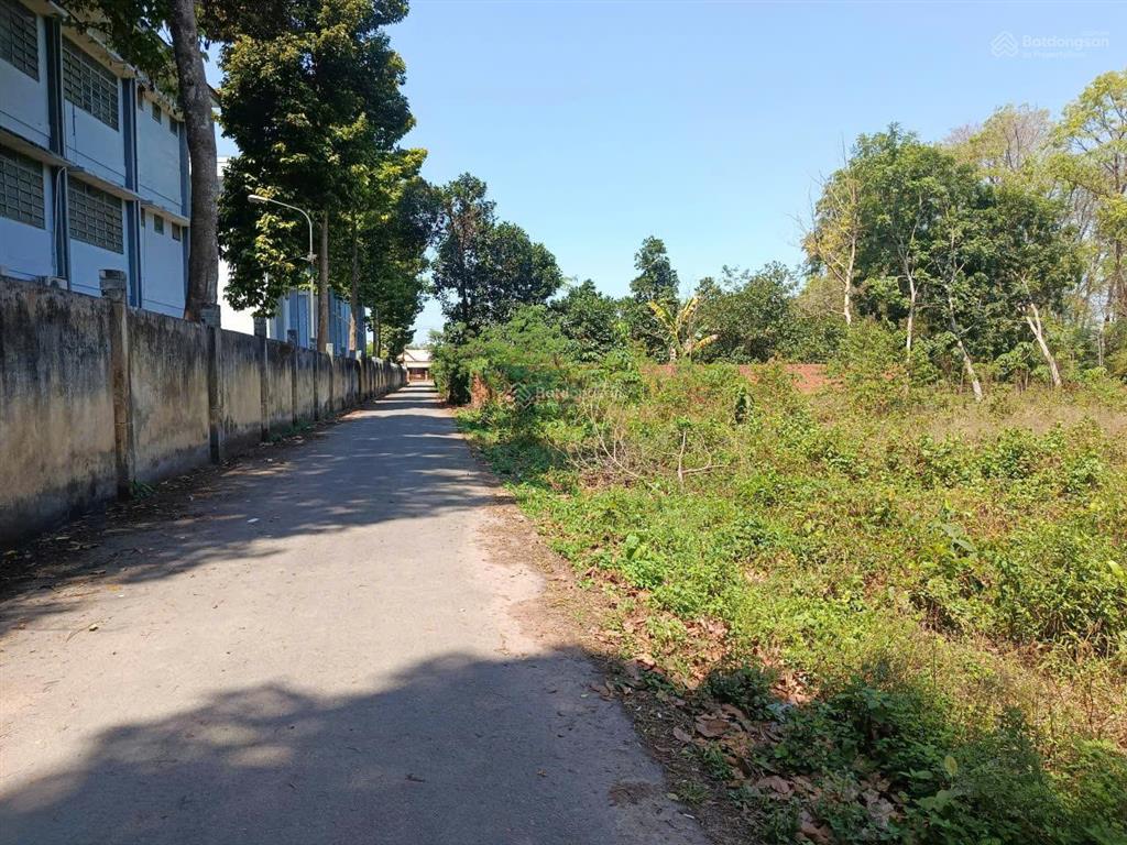Chủ gởi bán lô đất sát trường học an linh phú giáo hồ chí minh dt 3426m2 (42*85m) giá 850tr sổ sẵn