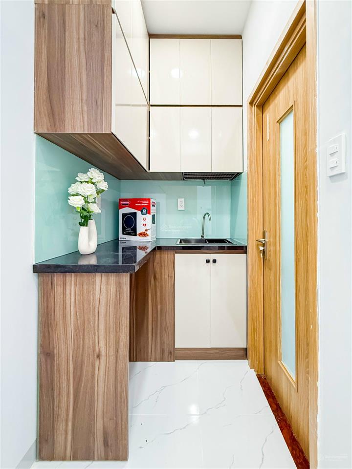 Mới căn hộ studio full nội thất gần sc vivo, cresent mall, đh tdt, rmit quận 7