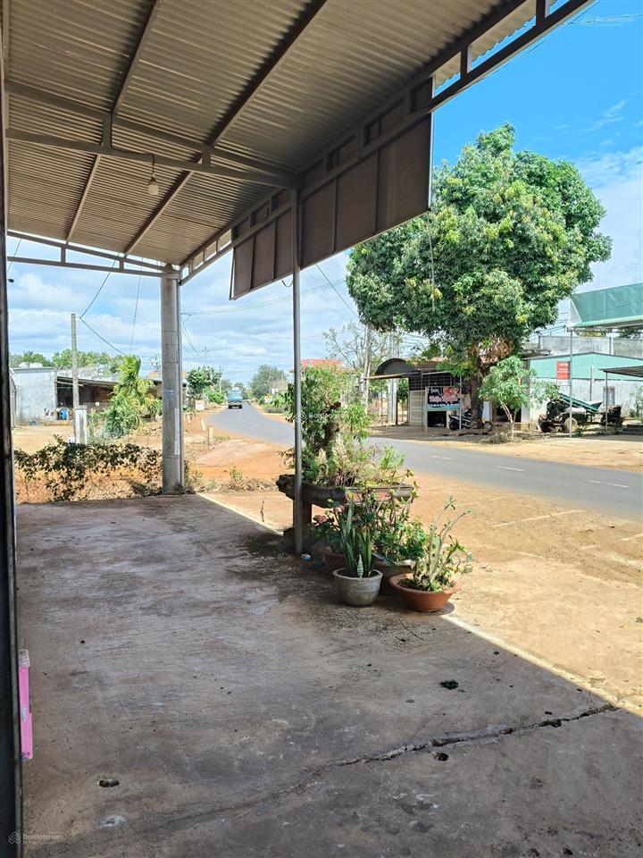 Bán nhà đất mặt tiền đường nhựa chính chủ