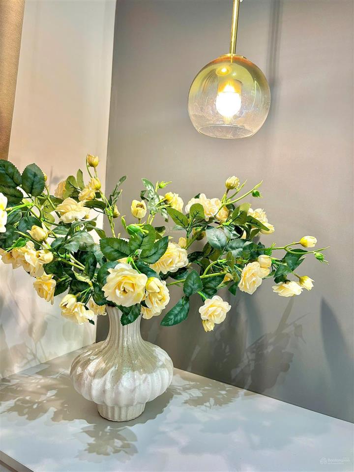Cần tiền bán siêu phẩm luxury 3 tầng đường nguyễn thuý sát biển vài bước chân
