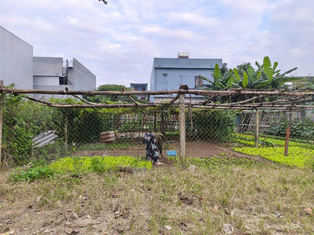 Bán đất cồn dầu 15 sát nguyễn văn thông, hòa xuân, đà nẵng