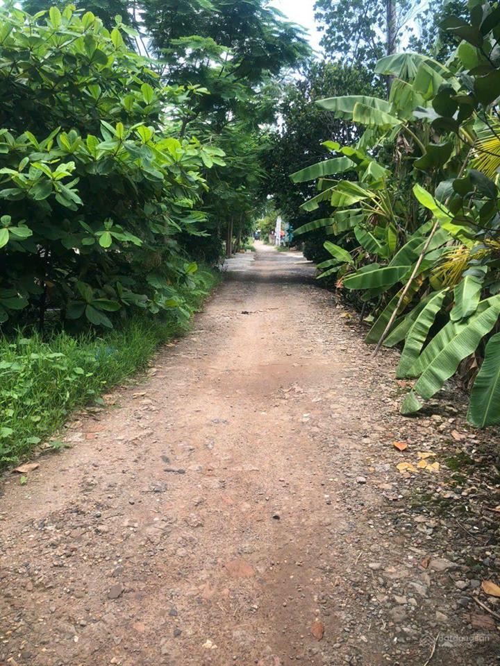 Bán đất thạnh xuân, phường thạnh xuân, tphcm