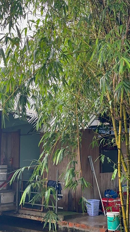4.109m2 đất vườn ngay bình chánh tp.hcm, đường bê tông vào tận đất, có sẵn nhà, 2 ao cá, điện 3pha