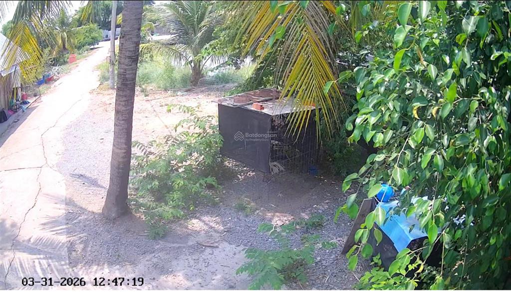 4.109m2 đất vườn ngay bình chánh tp.hcm, đường bê tông vào tận đất, có sẵn nhà, 2 ao cá, điện 3pha