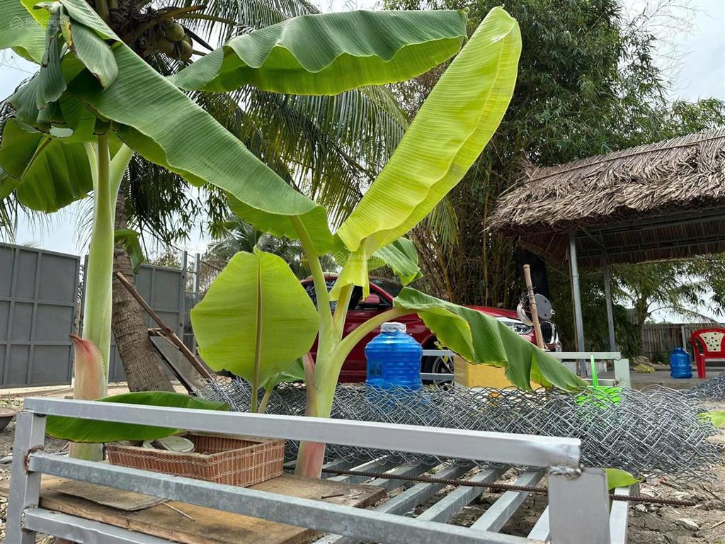 4.109m2 đất vườn ngay bình chánh tp.hcm, đường bê tông vào tận đất, có sẵn nhà, 2 ao cá, điện 3pha