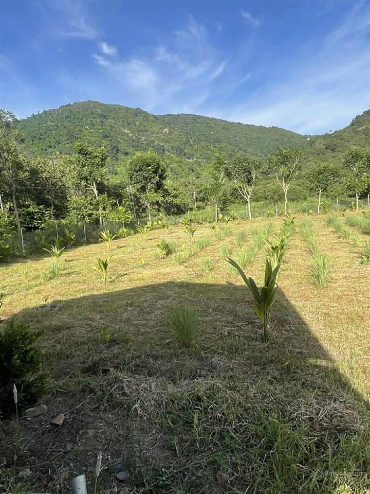 Khu nghỉ dưỡng view núi tại suối cát, xuân lộc,dt 7541 m2 ,gía 600tr/1 sào