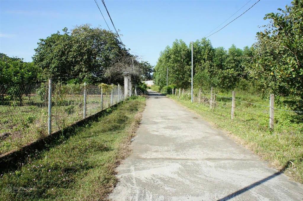 Khu nghỉ dưỡng view núi tại suối cát, xuân lộc,dt 7541 m2 ,gía 600tr/1 sào