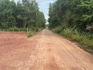 #bán đất tại xã xuân lộc, gần trường học cấp 3, giá siêu hời 790 triệu, 185 m2