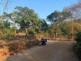 Bán đất 500m2 sát đuong tl 770b,giá 700 triệu tại suối tre, cách nhựa 800m