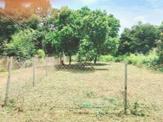 Đất xuân lộc mặt tiền đường nhựa 8m x 25m, khu dân cư, sau lưng trường học