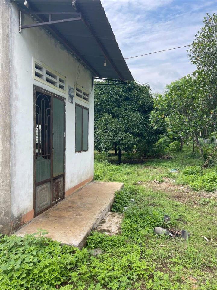 Đất vườn trái cây dt 2500m2, 2,5 tỷ tại thành phố long khánh, đồng nai